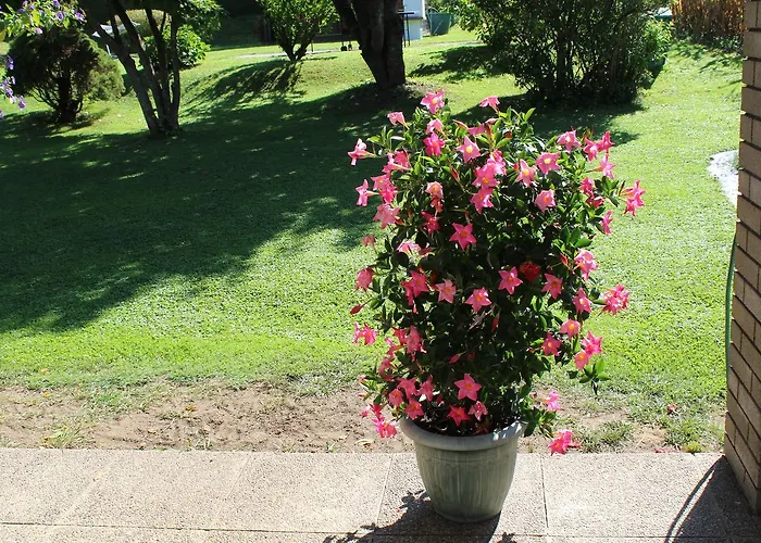 Annemarie Apartament